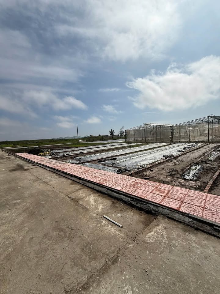 Đất nền Giao Phong, Giao Thủy, Nam Định 90m² - Cơ hội đầu tư tiềm năng!