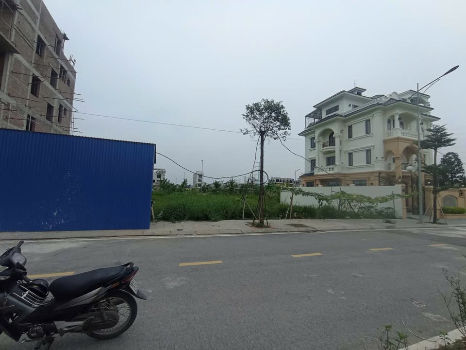 Bán Lô Biệt thự Khu đô thị Nguyễn Công Trứ 252m² giá 12 tỷ - Nơi nghỉ dưỡng lý tưởng!