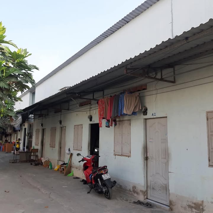 Đất thổ cư 1177m² tại Bến Cát, Bình Dương - Giá tốt 800 triệu, sổ hồng riêng!