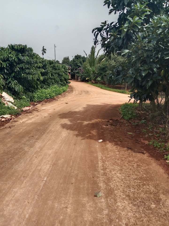 Đất nền Tân Hà, Lâm Hà 11,000m² - Sổ hồng đầy đủ, giá thỏa thuận!