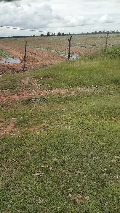 Lô đất nông nghiệp 4ha tại xã Ia Lốp, Đắk Lắk - Pháp lý rõ ràng, giá thương lượng