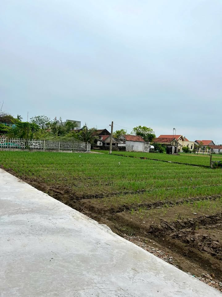 Đất mặt đường trục chính Thịnh Long, Nam Định 88m² giá 1.3 tỷ - Đầu tư sinh lời ngay!