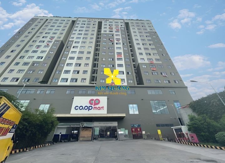 Đất thổ cư Bình Tân 209m² giá 17.99 tỷ - Đối diện trường THPT Nguyễn Hữu Cảnh!