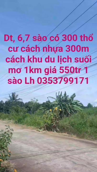 Đất vườn cây ăn trái 24120m² tại Ba Vì - Giá chỉ 2.349 tỷ, cơ hội đầu tư tuyệt vời!