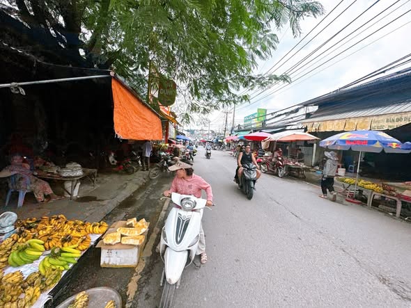 Đất nền gần chợ Thánh Tâm, Tân Hòa, 73m² chỉ 1.69 tỷ - Cơ hội đầu tư hấp dẫn!