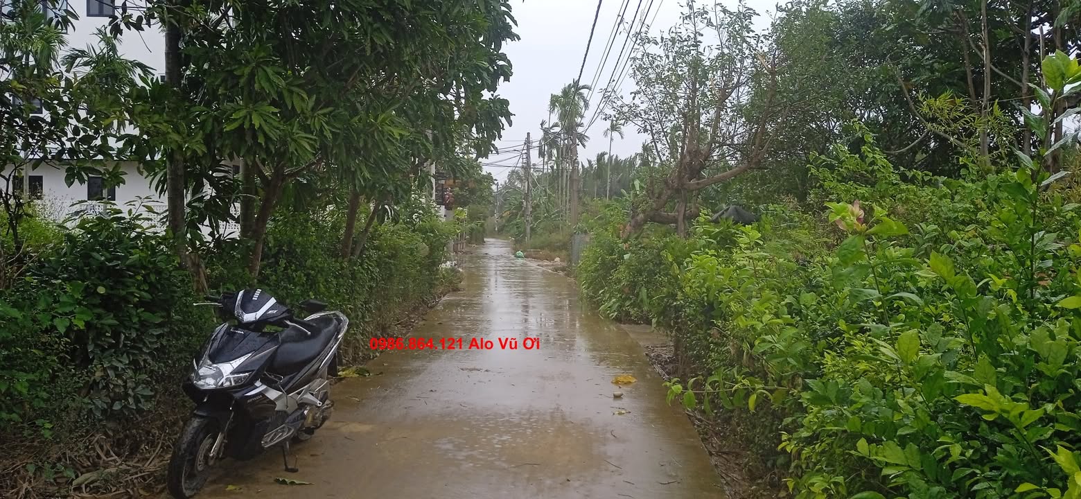 Đất nền Cẩm Thanh Hội An 1.424m² giá 21.5 tỷ - Cơ hội đầu tư không thể bỏ lỡ!