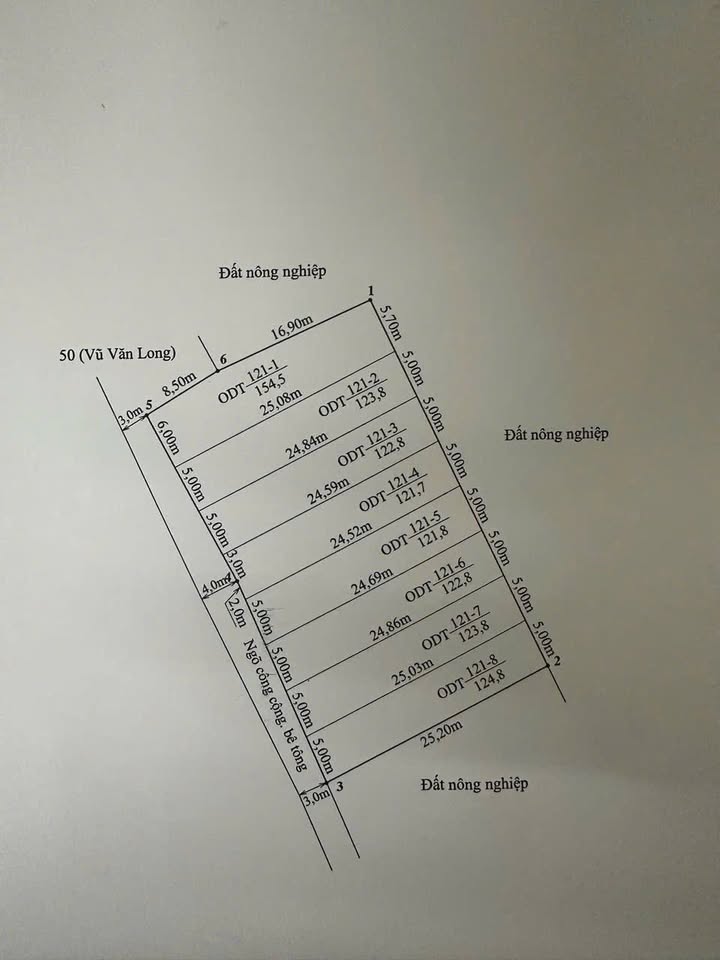 Đất nền chính chủ tại Minh Đức - Đồ Sơn 120m² giá chỉ 1.2 tỷ - Cơ hội đầu tư tuyệt vời!