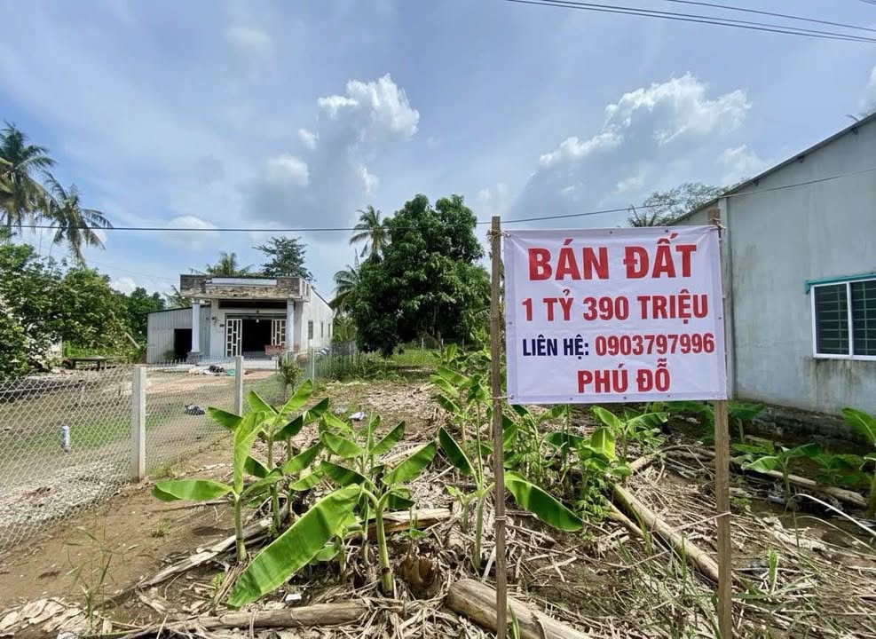 Đất nền Thới Hoà Ô Môn 383m² giá chỉ 1.39 tỷ - Sổ hồng riêng, xây dựng ngay!