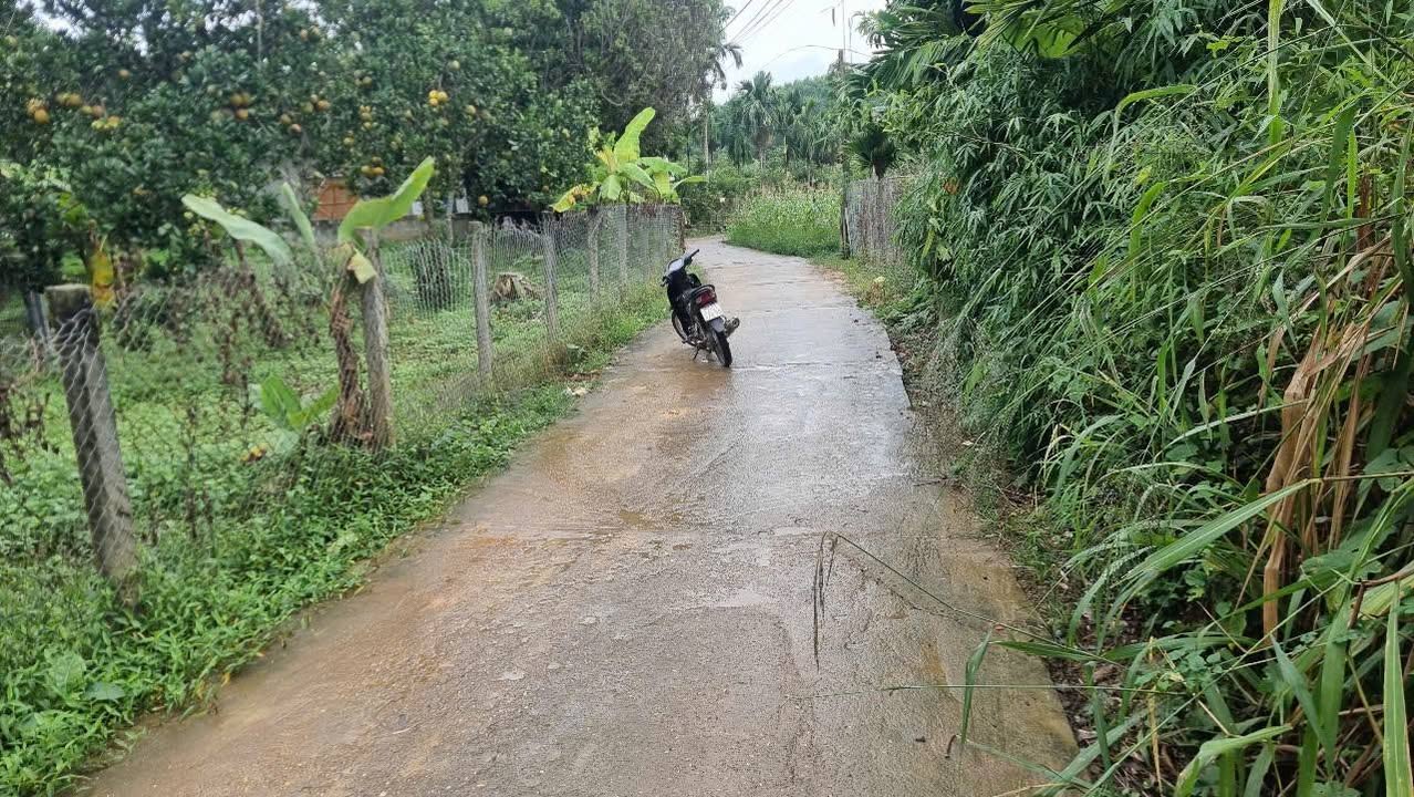 Đất nền thôn 14 Minh Xuân 110m² giá thỏa thuận - Đường bê tông 4m thuận tiện!