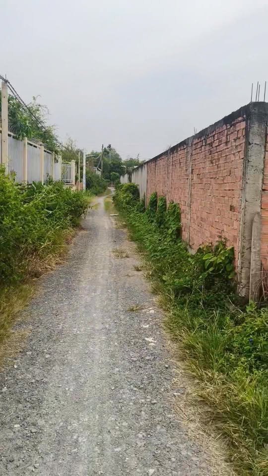 Đất nền Đức Lập Hạ 400m² giá 2.5 tỷ - Sổ đỏ chính chủ, thương lượng tốt!