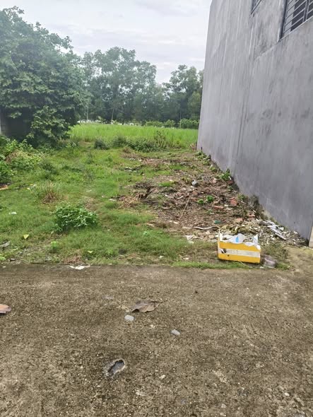 Đất nền Mỹ Hạnh Nam, Đức Hòa 100m² giá 1.3 tỷ - Sổ đỏ chính chủ!