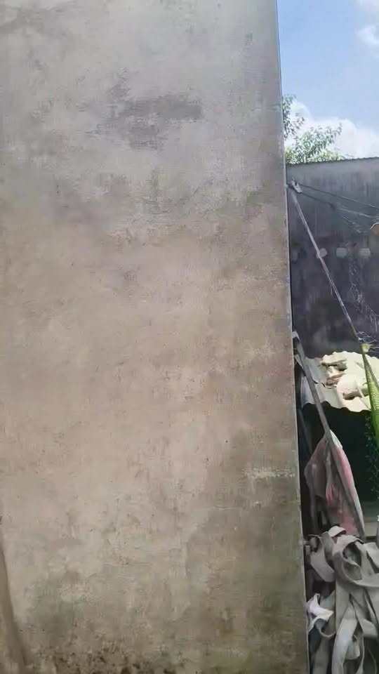 Đất nền Mỹ Hạnh Bắc Đức Hòa 70m² giá 950 triệu - Pháp lý rõ ràng