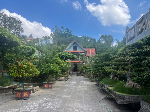 Đất Siêu Hiếm 1.678m² tại Phường Phan Đình Phùng - Giá chỉ 16.78 tỷ VND!