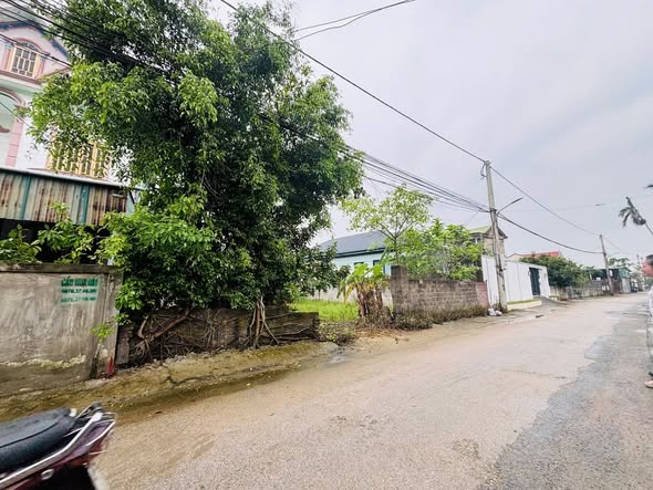 Bán đất mặt đường Xuân Liễu, Vinh 122m² giá 3.2 tỷ - Đầu tư sinh lời ngay!