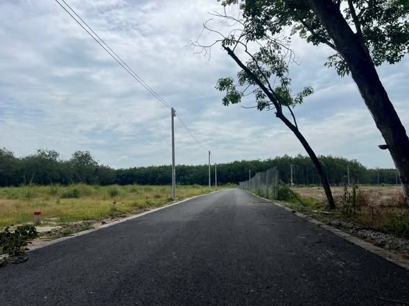 Đất nền 3600m² tại Định An, Dầu Tiếng chỉ 500 triệu - Sổ đỏ chính chủ!