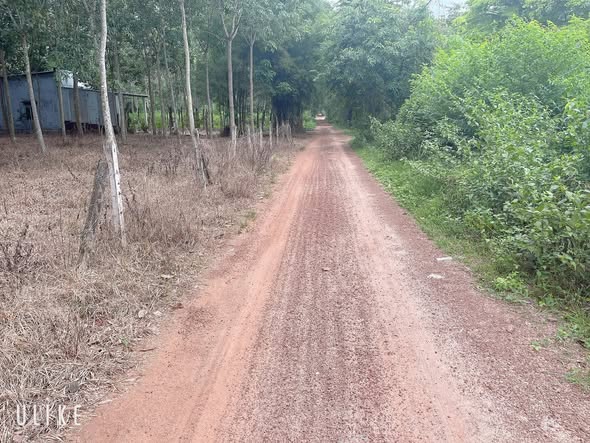 Đất nền 2500m² Định Hiệp, Bình Dương giá 1.4 tỷ - Cơ hội đầu tư không thể bỏ qua!