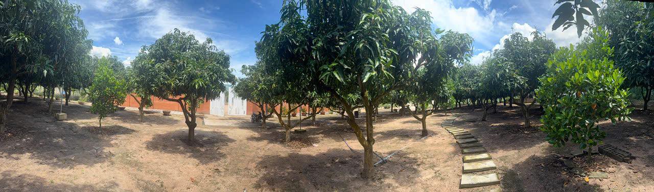 Farm nghỉ dưỡng Suối Hiệp, Cam Lâm 5000m² - Không gian lý tưởng cho gia đình!