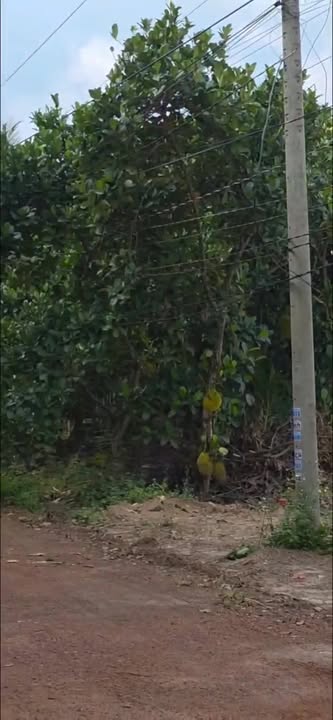 Đất nền Minh Hưng 210m² chỉ 400 triệu - Đầu tư sinh lời cao!