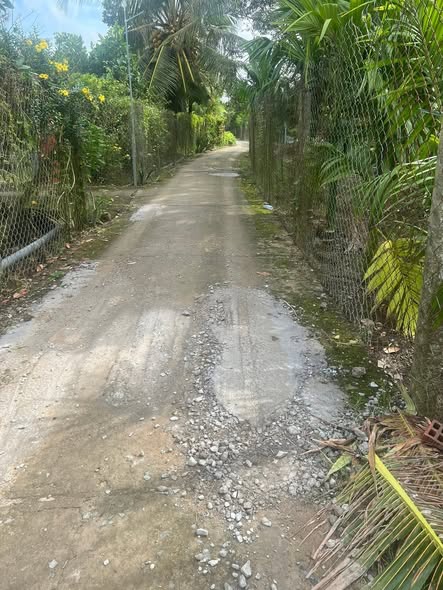 Đất thổ cư 2030m² tại xã Thanh Hòa, Cai Lậy - Giá chỉ 1.1 tỷ VND