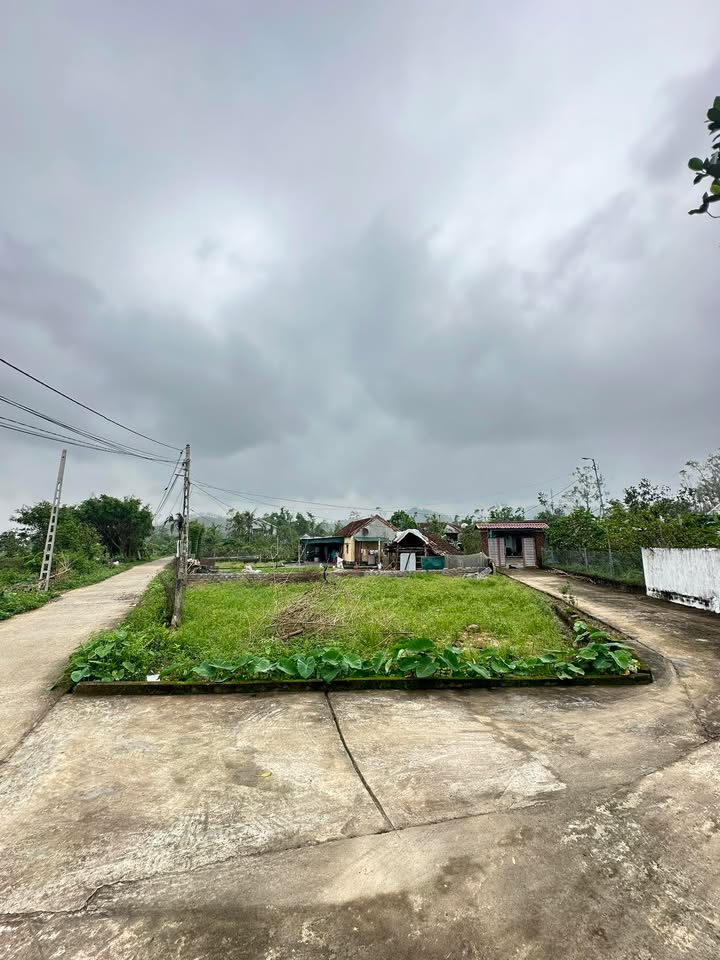 Đất lô góc 3 mặt tiền tại xã Nam Lĩnh, huyện Nam Đàn 229,5m² giá 1 tỷ - Cơ hội đầu tư tuyệt vời!