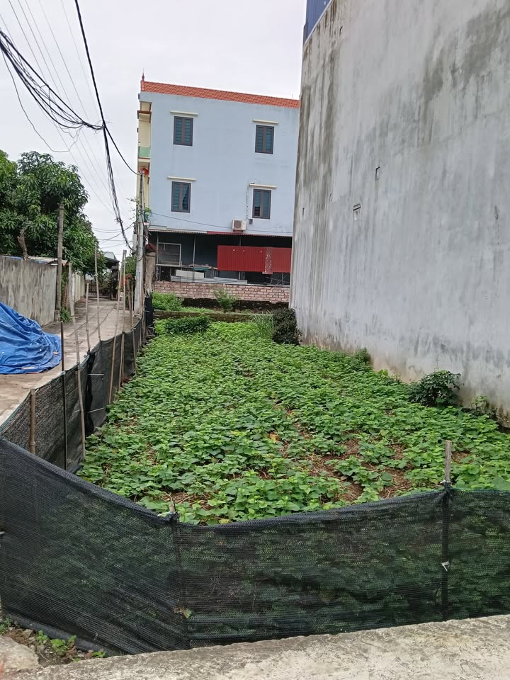 Đất nền Chương Dương - Thường Tín 108m² giá 3.564 tỷ - Đầu tư sinh lời tuyệt vời!