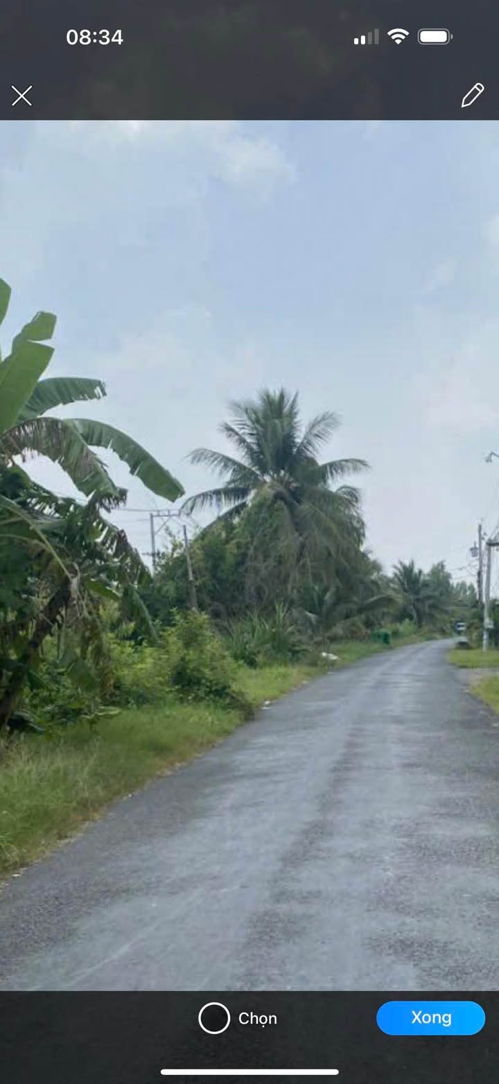 Đất Lúa 1000m² Mặt Tiền Nhựa An Thạnh - Bán Gấp Giá 1.85 Tỷ