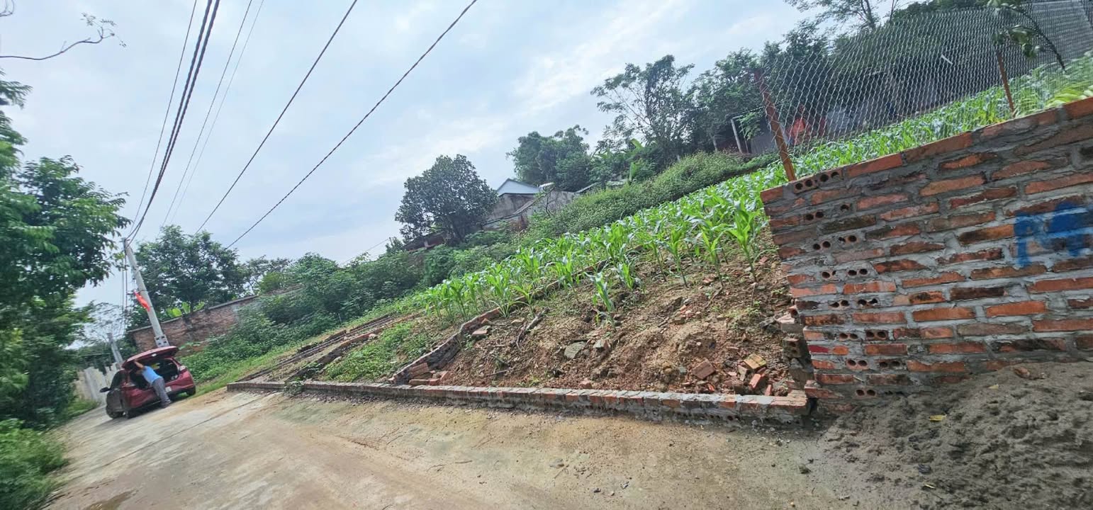 Đất nền Hướng Đạo, Tam Dương 110m² giá 800 triệu - Phong thủy hút tài lộc!