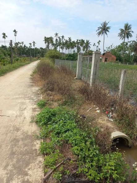 Đất vườn Nghĩa Trung Tư Nghĩa 1300m² giá 1.8 tỷ - Sổ đỏ chính chủ!