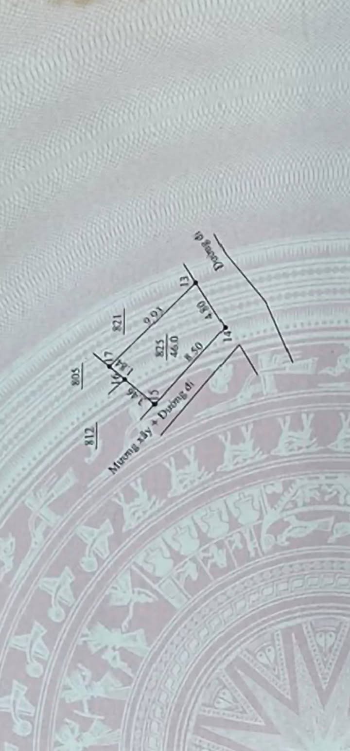 Bán đất thổ cư lô góc Đại Tự, Hoài Đức 46m² - Ô tô vào tận nhà!