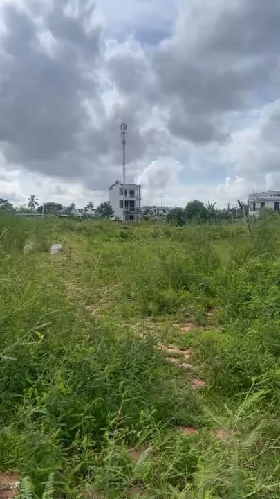 Đất nền khu tái định cư Đồng Hón, Sầm Sơn - 100m² chỉ 2 tỷ - Cơ hội vàng đầu tư!