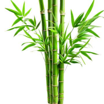 Lô đất 1400m² Nguyễn Trường Tộ Hải Phòng - Cơ hội đầu tư hiếm có!