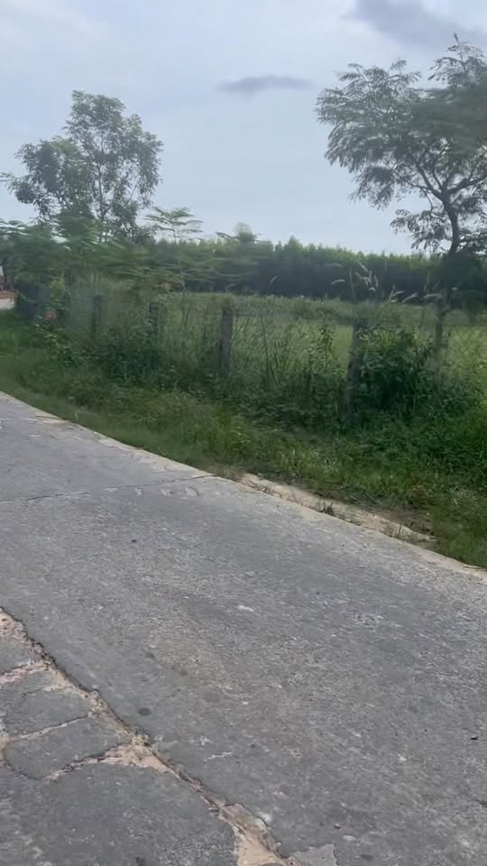 Đất nền 2859m² tại đường Phạm Thế Hiển, La Gi - Giá chỉ 3 tỷ, cơ hội đầu tư tuyệt vời!