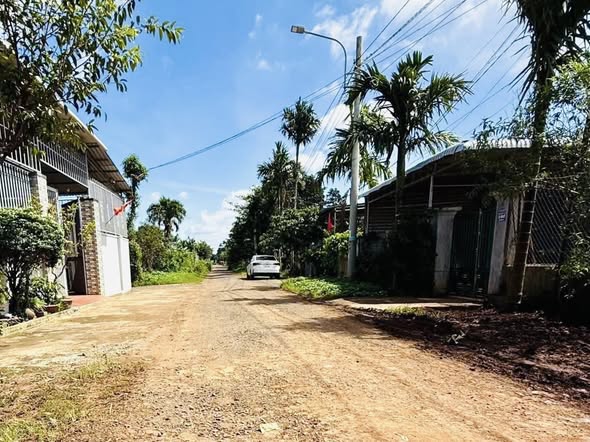 Đất nền mặt tiền D3, Tân An, Buôn Ma Thuột 125m² chỉ 1.29 tỷ - Đầu tư sinh lời ngay!