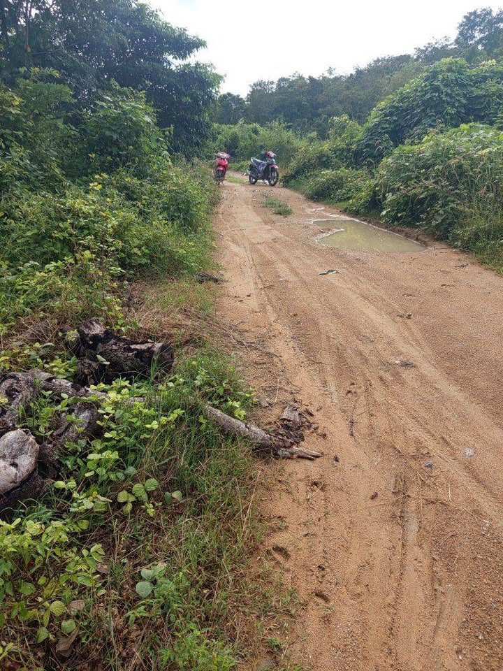 Đất Farm Thổ Cư 3ha tại xã Thuận Minh, Hàm Thuận Bắc - Đầu Tư Lý Tưởng!