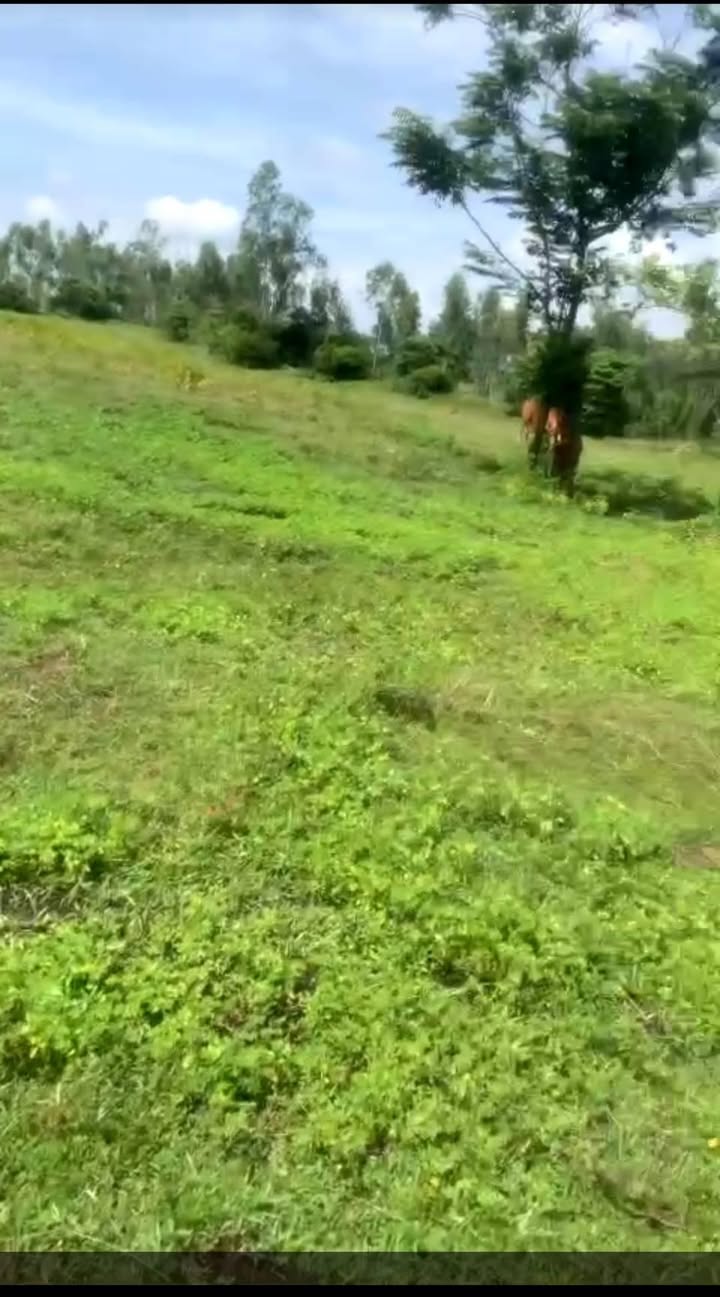 Đất nền 1.8ha Thuận Minh, Hàm Thuận Bắc - Giá chỉ 6.6 tỷ, đầu tư sinh lời ngay!