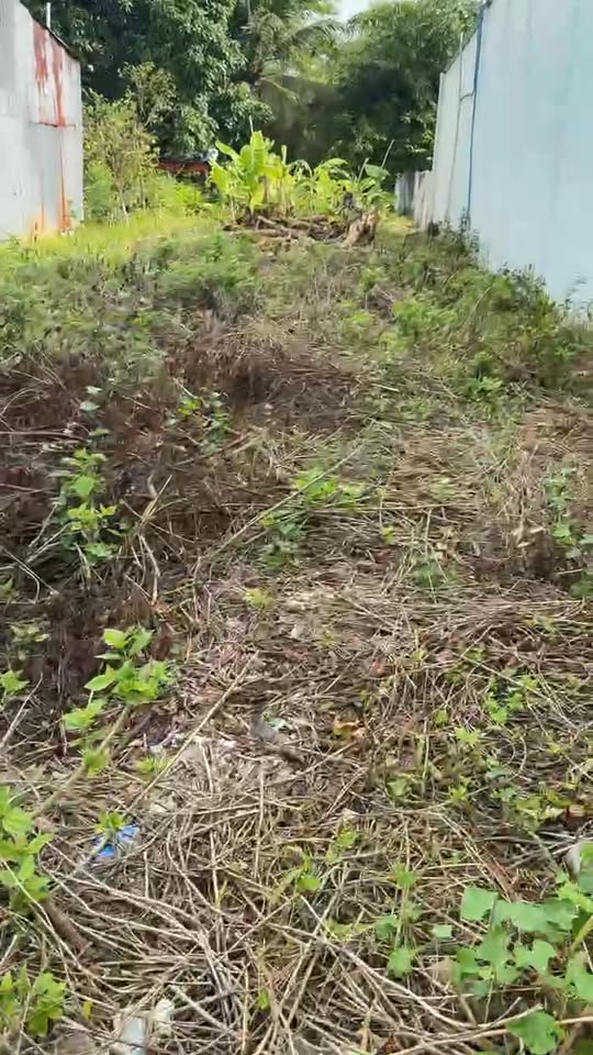 Đất thổ cư 300m² tại Đại Tâm, Mỹ Xuyên, Sóc Trăng - Giá chỉ 499 triệu có thương lượng!