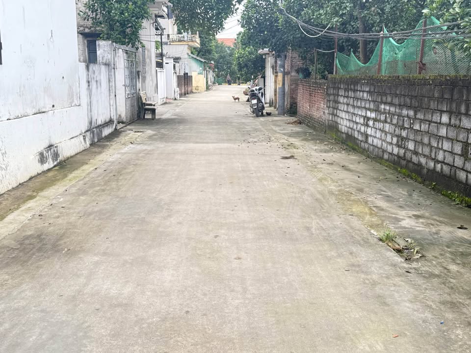 Đất thổ cư Thôn Cự Thần, Xã Đỗ Động 95m² giá thỏa thuận - Mặt tiền rộng, ô tô vào tận nơi!