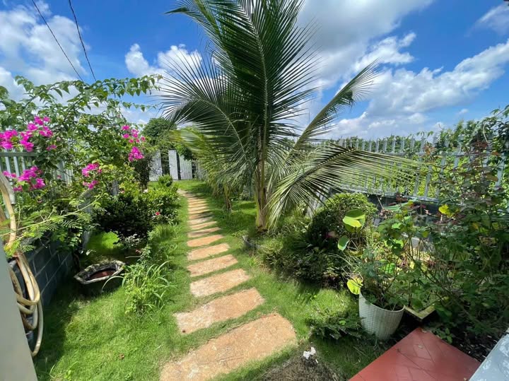 Căn hộ cao cấp cho thuê tại Ea Kao, Buôn Ma Thuột - Thiết kế hiện đại, chỉ việc xách vali vào ở!