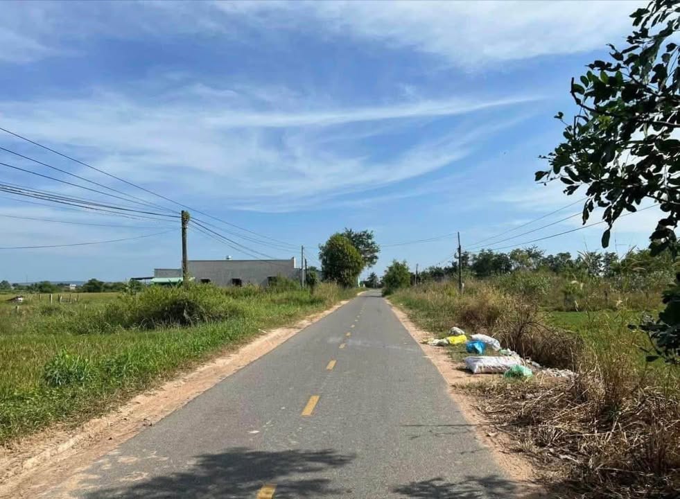 Đất nền mặt tiền nhựa Hàm Liêm 530m² giá 1.99 tỷ - Cơ hội đầu tư hấp dẫn!