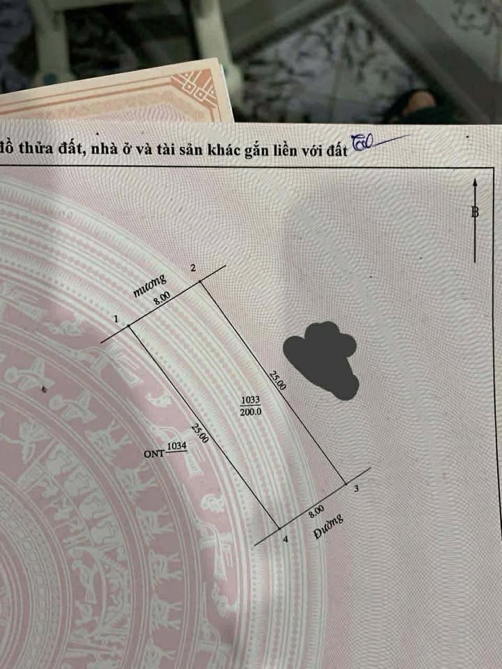 Đất nền Vinh Lộc Nghi Lộc 200m² giá thỏa thuận - Đầu tư sinh lời ngay!