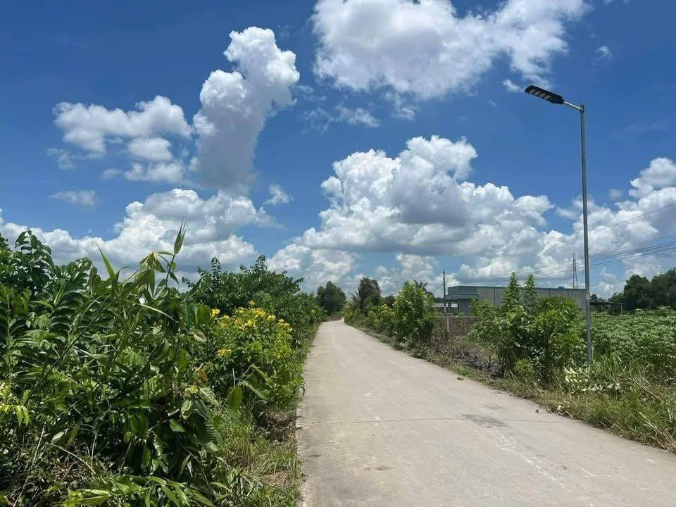 Đất vườn 3973m² tại Ấp 5, Bình Đức, Bến Lức - Giá chỉ 3.973 tỷ, cơ hội đầu tư tuyệt vời!