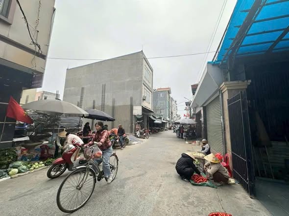 Đất nền Tiên Dương Đông Anh 58m² giá 4 tỷ - Sẵn sàng đầu tư!