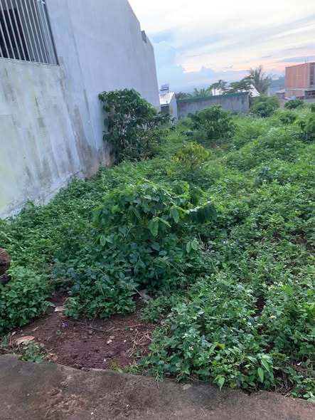 Đất hẻm Y Moan, Buôn Ma Thuột 135m² giá 1.69 tỷ - Cơ hội vàng đầu tư!