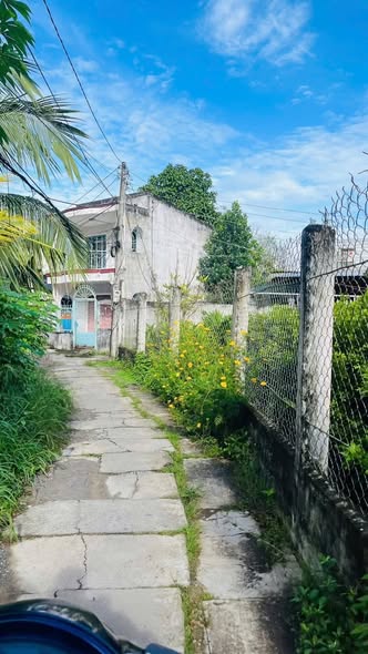 Nhà cấp 4 hẻm 3m rộng rãi phường Long Châu, Vĩnh Long, 80.7m² chỉ 1.25 tỷ - Cần bán gấp!