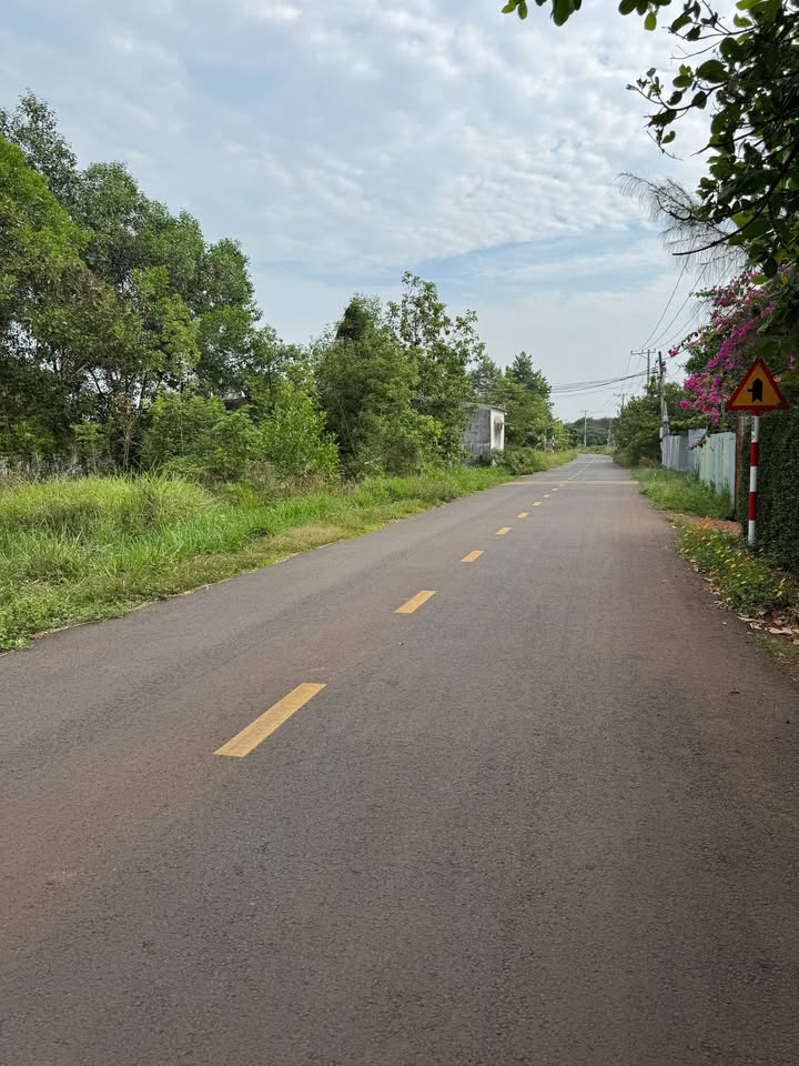 Đất nền 1000m² đường nhựa Suối Dinh, Tây Hoà, Trảng Bom - Giá 1.65 tỷ, Sổ đỏ chính chủ!