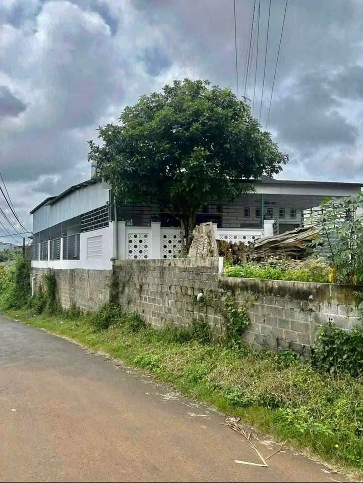 Nhà 3 mặt tiền đường Lý Thái Tổ, Bảo Lộc 220m² giá 2.7 tỷ - Cơ hội đầu tư tuyệt vời!