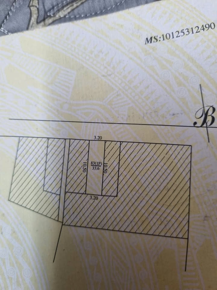 Đất nền Lĩnh Nam 33.6m² giá 5.37 tỷ - Đầu tư sinh lời ngay!