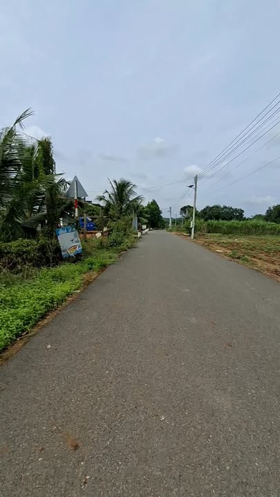 Đất vườn cây ăn trái Phú Giáo 1.100m² giá 2.3 tỷ - Sổ đỏ chính chủ