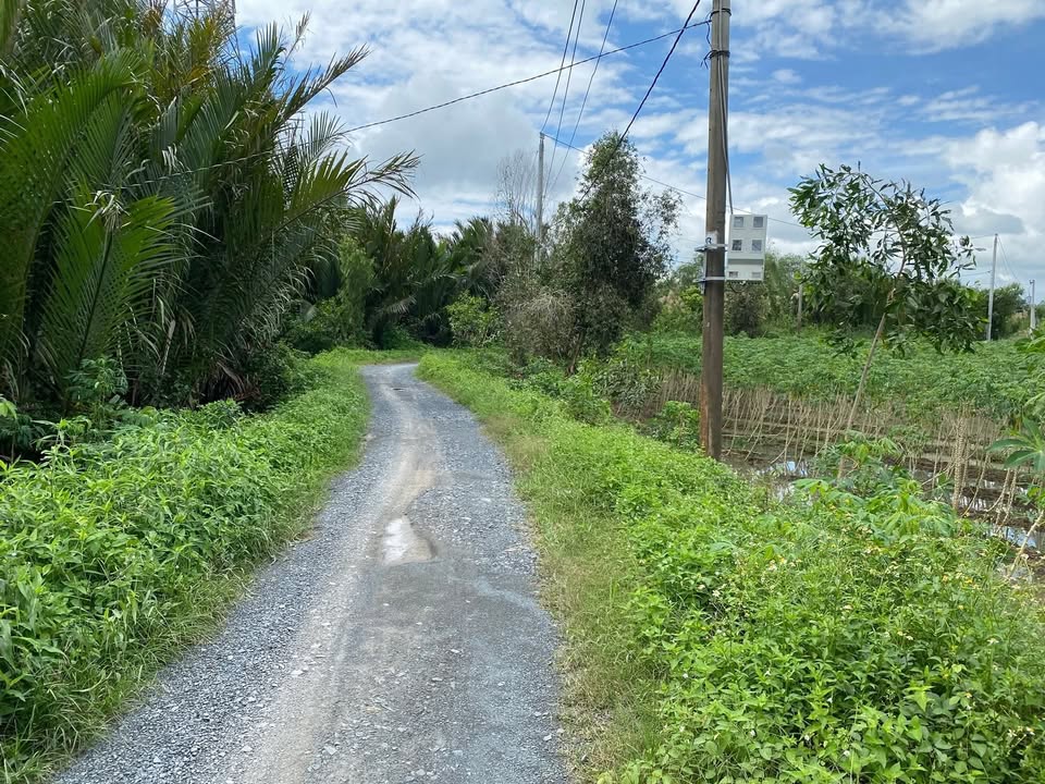 Đất Thổ Vườn 1.082m² tại Bình Đức, Bến Lức - Giá 2.45 tỷ, View Kênh Thoáng Mát!