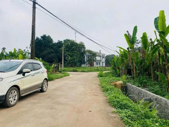 Đất nền 88m² tại Mãn Chiêm, Hồng Tiến - Giá chỉ 500 triệu, bán gấp!